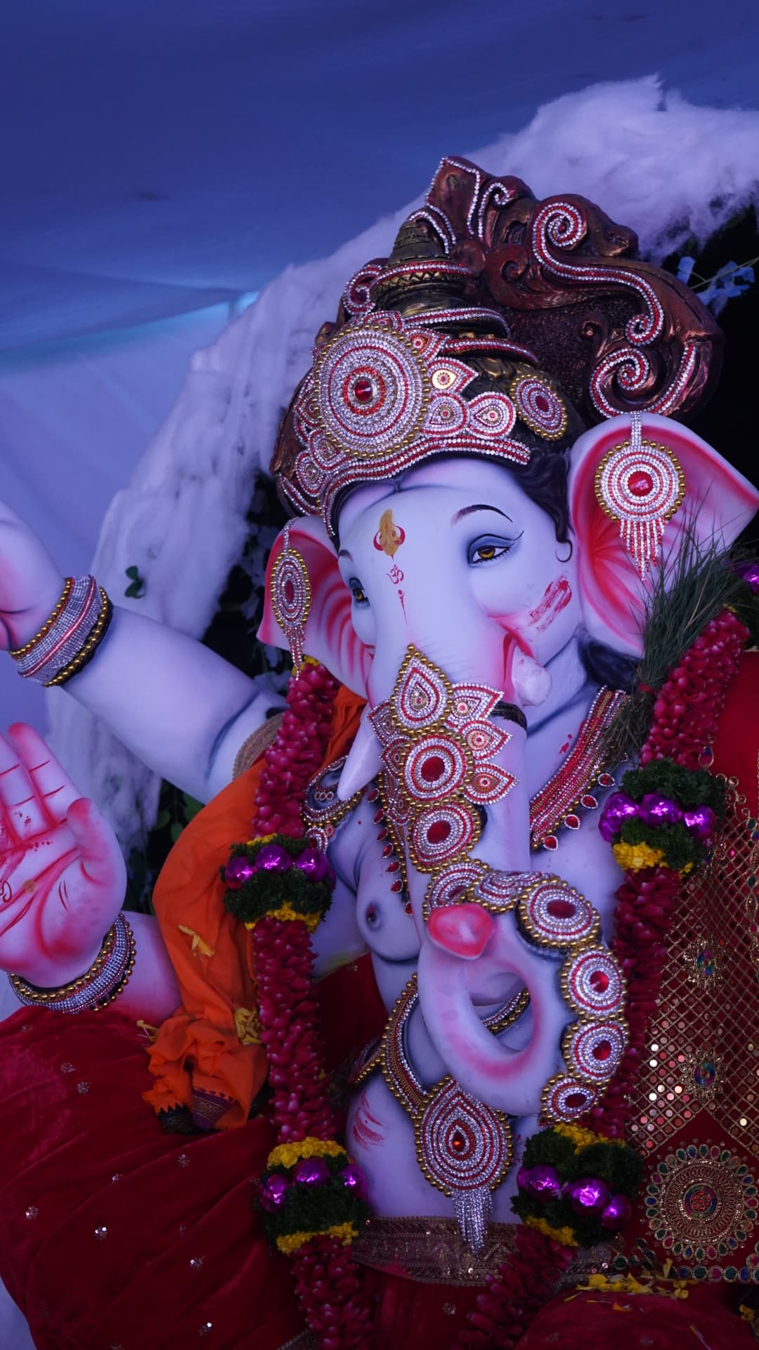 NST Charaja shoot